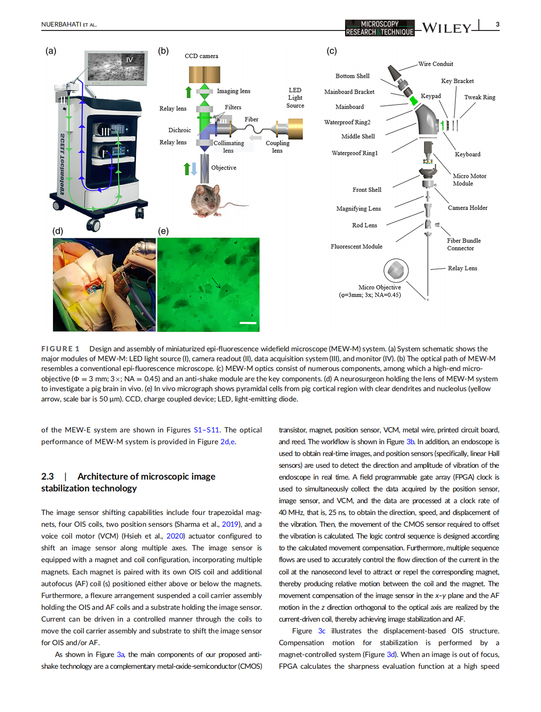 An actively stabilized, miniaturized epi-fluorescence widefield microscope for real-time observation in vivo(图3)