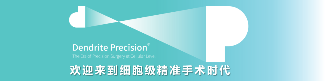 术中手持显微镜EndoSCell™助推脑胶质瘤诊疗进入细胞级精准手术时代(图1)